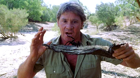 Google il sarbatoreste pe Steve Irwin! S-au implinit 57 de ani de la nastereaa Vanatorului de crocodili