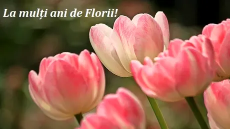 Mesaje de Florii. Cele mai frumoase SMS-uri, urări și felicitări pe care poți să le trimiți oamenilor dragi