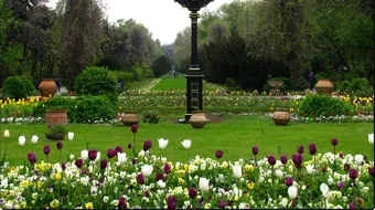 Parcul Cismigiu a ajuns o ruina! Este sufocat de mizerie si gunoaie. Imagini dezolante din locul care este clasat ca monument istoric