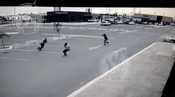 Galerie foto - Poza #4