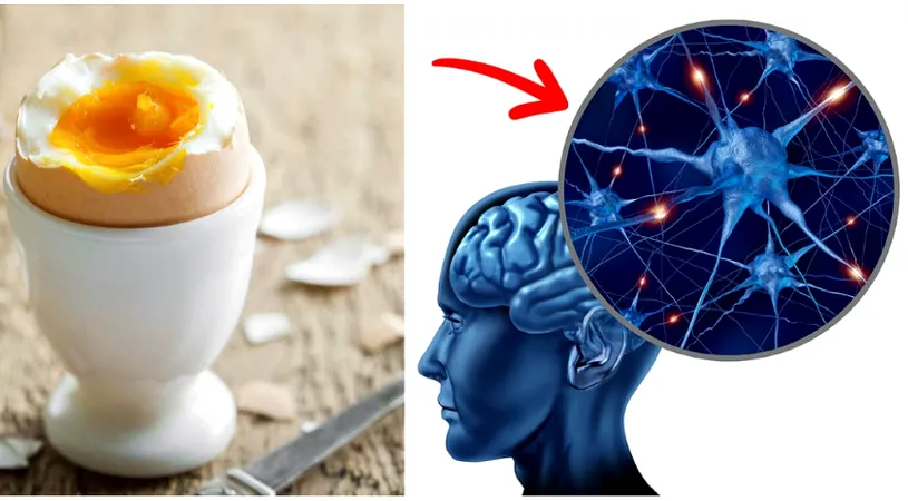 Consumul zilnic de oua, efecte asupra functionarii creierului! Ce se intampla daca alimentul e in dieta atat de des!