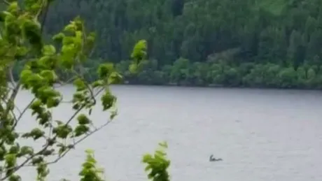 Poza aceasta a devenit virala! Ce monstru celebru sustine un cuplu ca a fotografiat, in vacanta lor