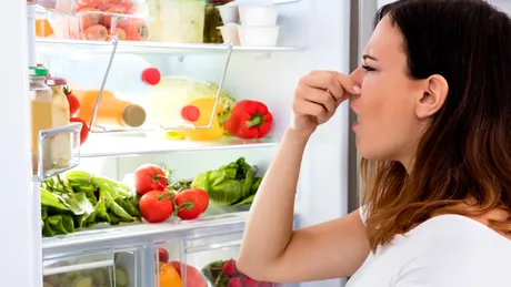 Cum să scapi de mirosul neplăcut din frigider. Trucuri geniale și ieftine pentru gospodine