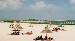 Galerie foto - Poza #3