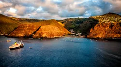 Galerie foto - Poza #4