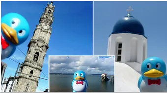 Povestea acestei jucarii e una incredibila! Pinguinul Vasile s-a plimbat prin intreaga lume si ar putea sa intre in Cartea Recordurilor VIDEO