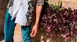 Galerie foto - Poza #4