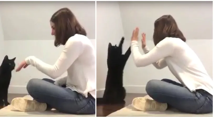 Femeia asta are un salut secret cu pisica ei! E atat de adorabil cum reactioneaza felina atunci cand o vede VIDEO