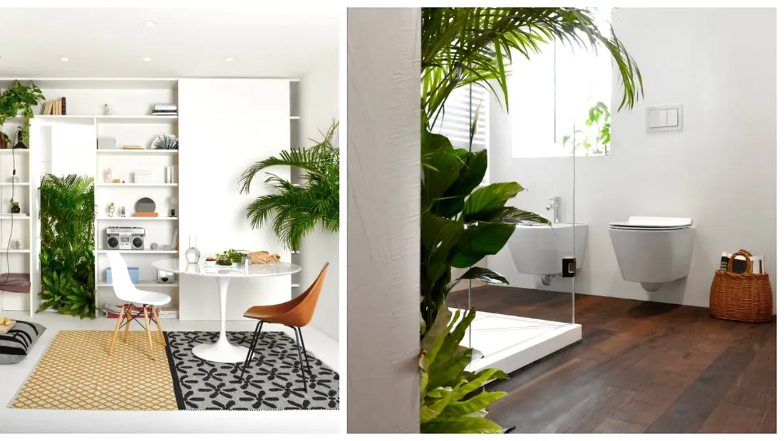 Modern si minimalist! Acest apartament desprins din visele tale are cel mai fresh look. Cum ajuta peretii la cresterea plantelor