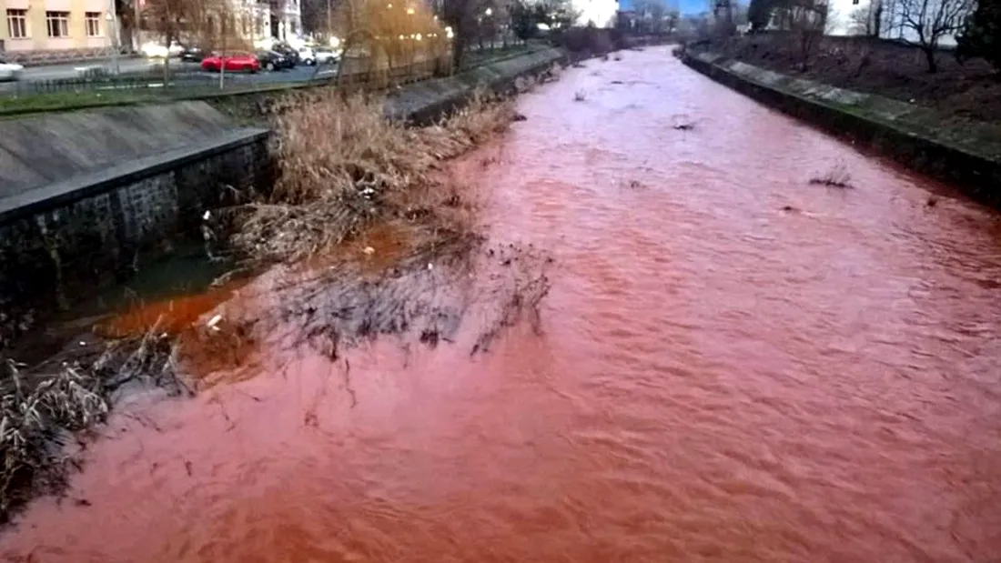 Panica printre cetatenii din Baia-Mare! Apele unui rau din oras s-au inrosit din senin. Ce s-a intamplat de fapt acolo