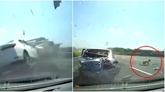 Baietelul a zburat prin parbrizul masinii pentru ca nu purta centura de siguranta. Ce s-a intamplat cu el in cateva secunde de la impact. VIDEO socant