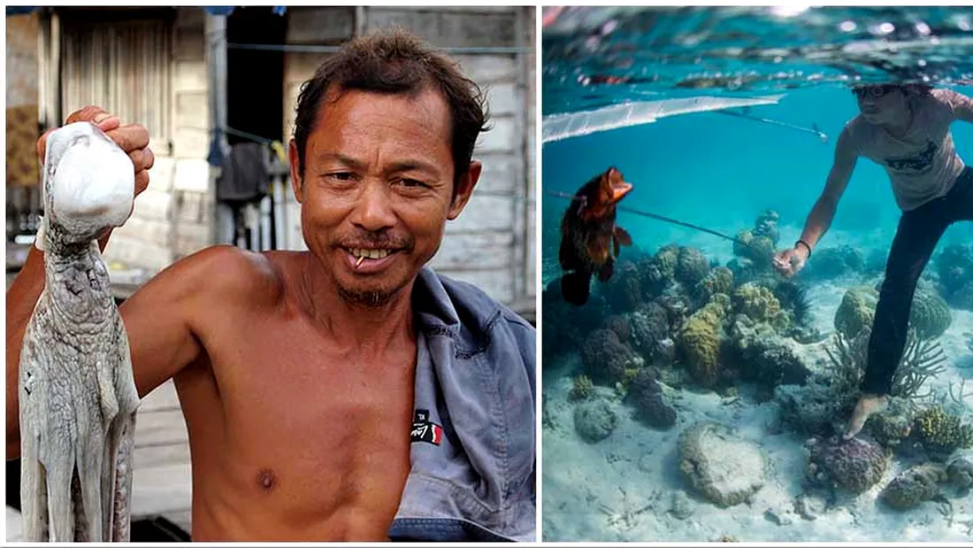 Pescarii Bajau rezista 13 minute sub apa fara sa respire! Care e secretul lor VIDEO