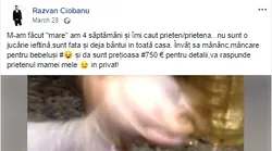 Galerie foto - Poza #4