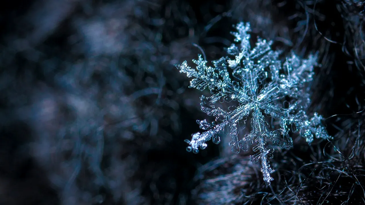horoscop 26 decembrie 2018 