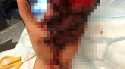 Galerie foto - Poza #2