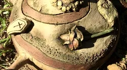 Galerie foto - Poza #4