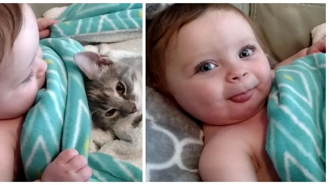 VIDEO-ul asta te face sa te topesti! Un bebelus mangaie o pisicuta! Cum reactioneaza micutul cand isi da seama ca e filmat