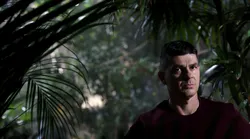 Galerie foto - Poza #4