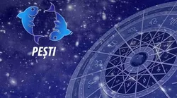 Galerie foto - Poza #4