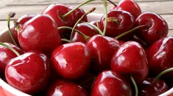 Galerie foto - Poza #4