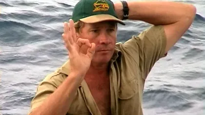 Cum a fost ucis, de fapt, de către o pisică de mare Steve Irwin! Detalii șocante au apărut abia acum. De ce nu l-a ajutat nimeni?