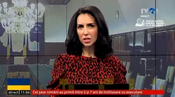 Galerie foto - Poza #4