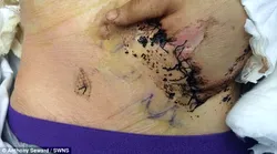 Galerie foto - Poza #3