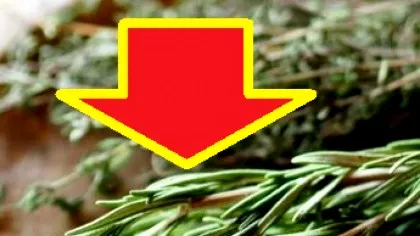 Planta din bucătărie care ALUNGĂ demența!