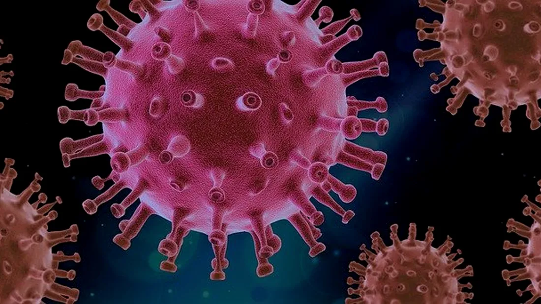 Boala care se poate declanșa în corpurile oamenilor, după ce se infectează cu noul coronavirus. Care este organul cel mai afectat