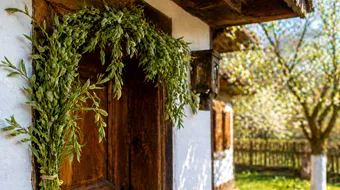 De ce se pune salcie la ușa casei de Sfântul Gheorghe. Tradiții, semnificații și credințe populare