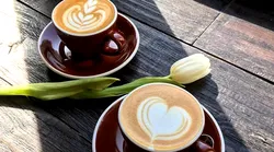 Galerie foto - Poza #1