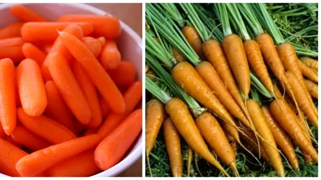 Ce sunt, de fapt, baby carrots, morcovii in miniatura din supermarket-uri! Cum decurge intreg procesul de prelucrare VIDEO