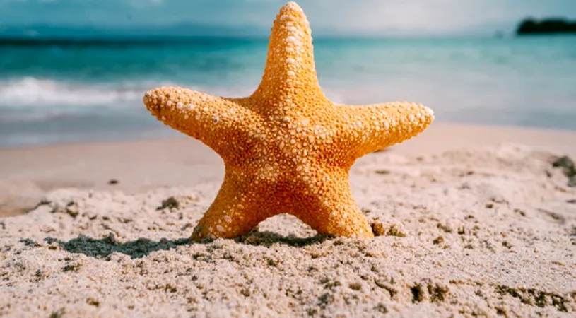 Horoscop 9 august 2019: Zodia care da lovitura in aceasta perioada!