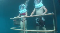 Galerie foto - Poza #4