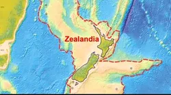 Galerie foto - Poza #4