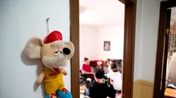 Galerie foto - Poza #4