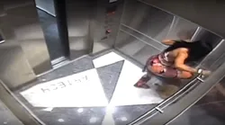 Galerie foto - Poza #4