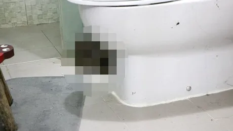 A intrat dimineata in baie si s-a asezat pe wc. La scurt timp, a sarit ca arsa! Ce se afla fix langa vasul de toaleta