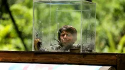 Galerie foto - Poza #4