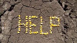 Galerie foto - Poza #4