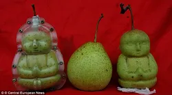 Galerie foto - Poza #4