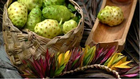 Ai auzit de fructul Noni? Ce beneficii miraculoase are asupra organismului si de unde il putem cumpara