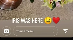 Galerie foto - Poza #4