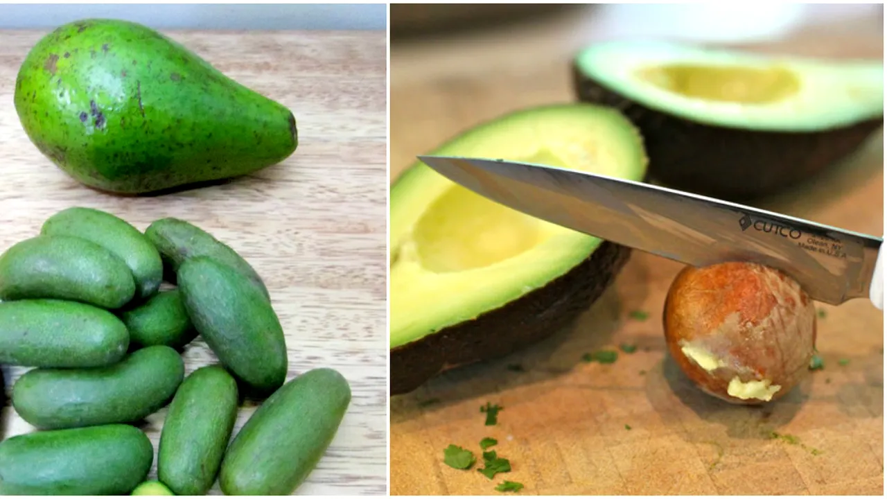 Pare un fruct normal de avocado, dar oamenii se tem sa il manance 
