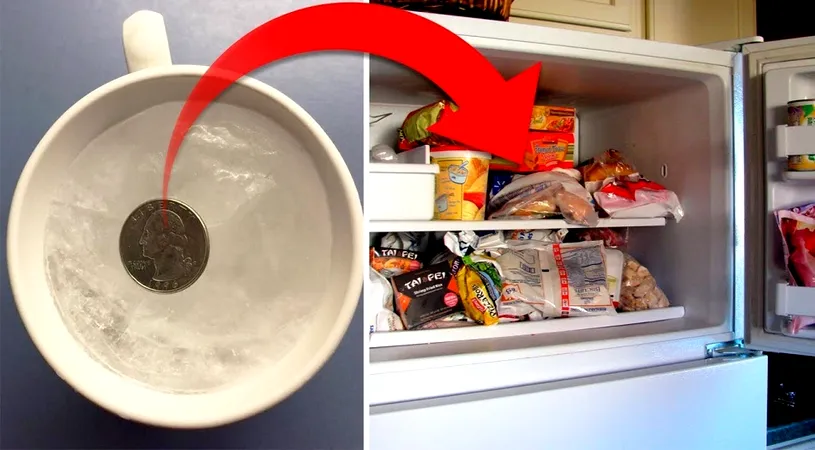 Pune o moneda in congelator inainte sa pleci in vacanta. Rezultatul te va ului! VIDEO