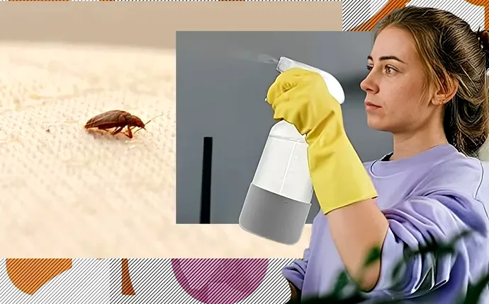 Cum scapi de ploșnițele de pat în mod natural! 7 soluții la îndemâna oricui