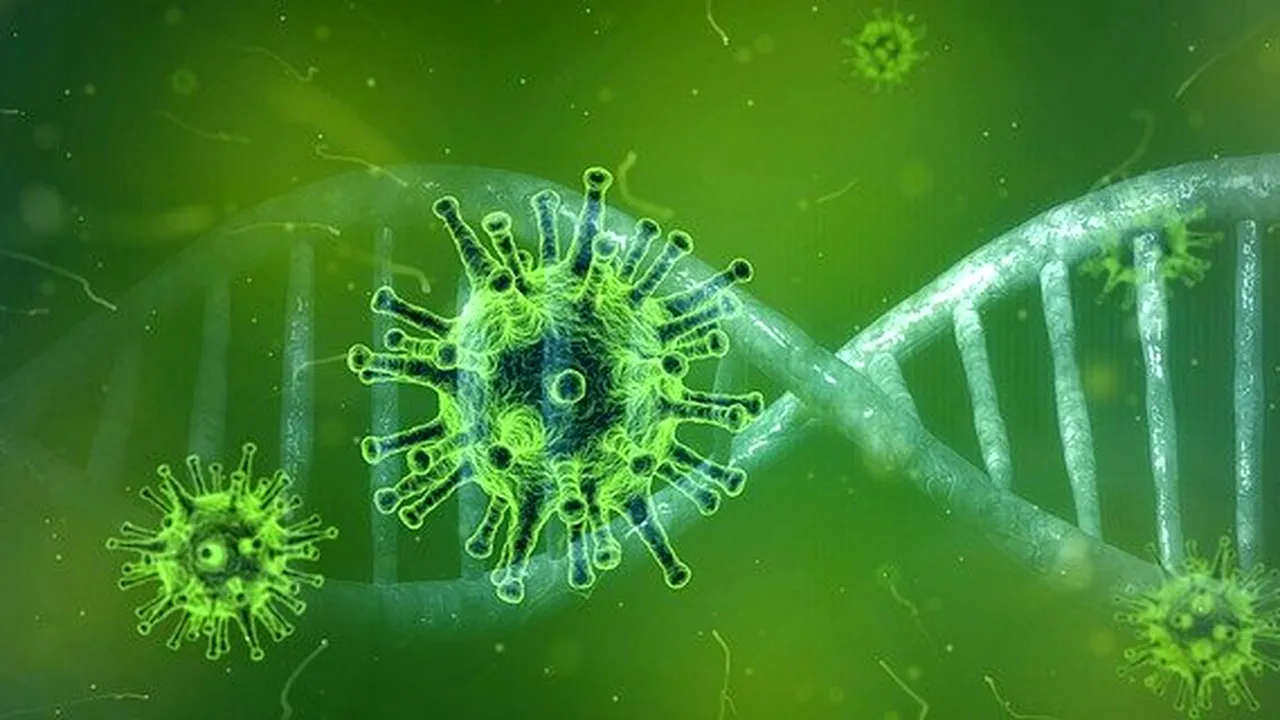 coronavirus-4833754_640 (2) 