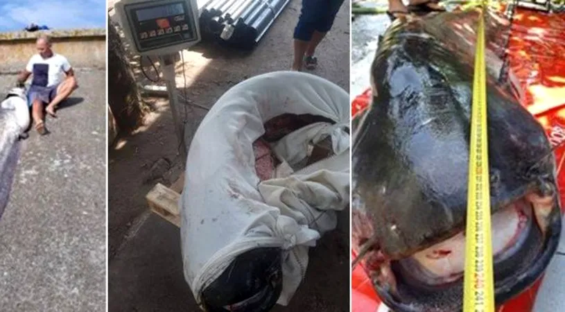 Mare noroc pe un pescar din Rosiori, a prins un somn de 80 kg!