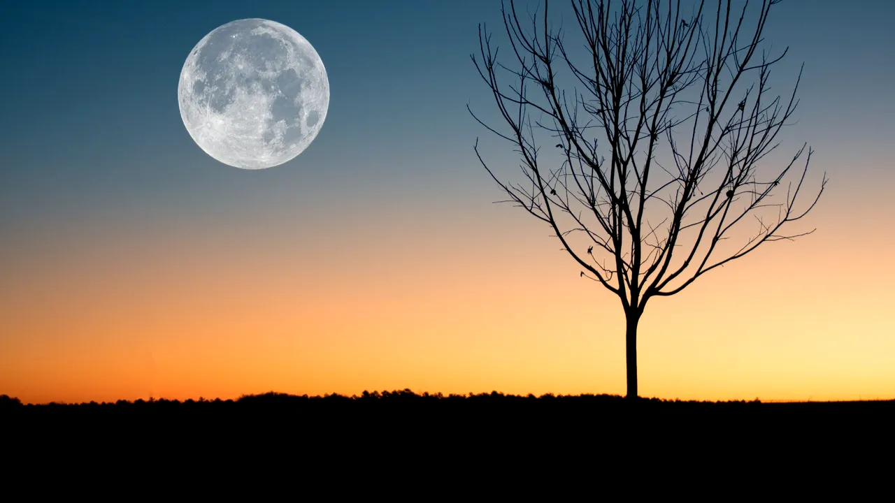 horoscop 14 octombrie 2018 