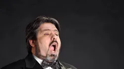 Galerie foto - Poza #4